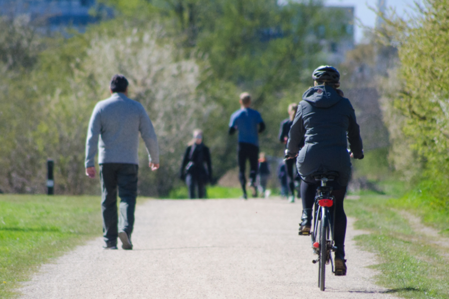 People exercising in a park